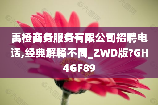 禹橙商务服务有限公司招聘电话,经典解释不同_ZWD版?GH4GF89