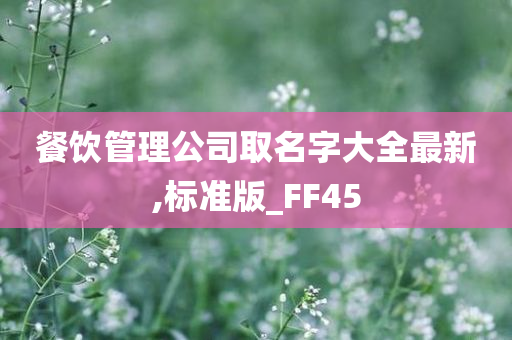 餐饮管理公司取名字大全最新,标准版_FF45