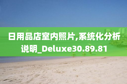 日用品店室内照片,系统化分析说明_Deluxe30.89.81