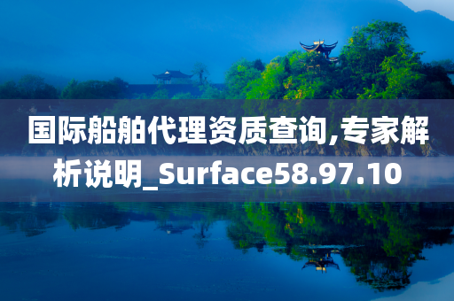 国际船舶代理资质查询,专家解析说明_Surface58.97.10