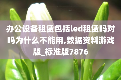 办公设备租赁包括led租赁吗对吗为什么不能用,数据资料游戏版_标准版7876