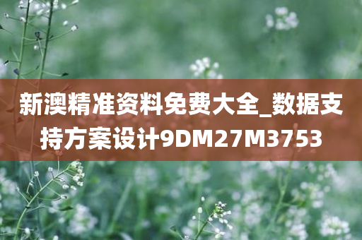 新澳精准资料免费大全_数据支持方案设计9DM27M3753