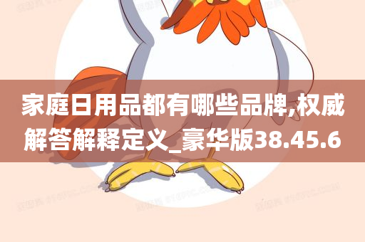 家庭日用品都有哪些品牌,权威解答解释定义_豪华版38.45.60