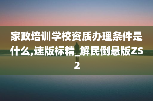 家政培训学校资质办理条件是什么,速版标精_解民倒悬版ZS2