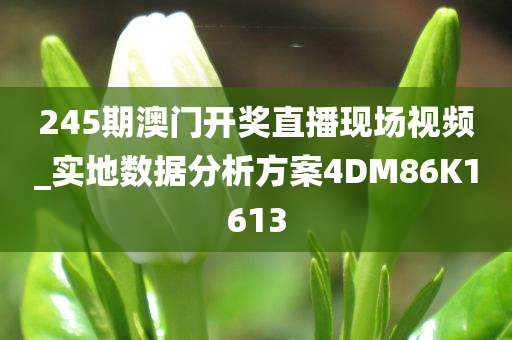 245期澳门开奖直播现场视频_实地数据分析方案4DM86K1613