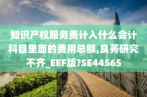 知识产权服务费计入什么会计科目里面的费用总额,良莠研究不齐_EEF版?SE44565