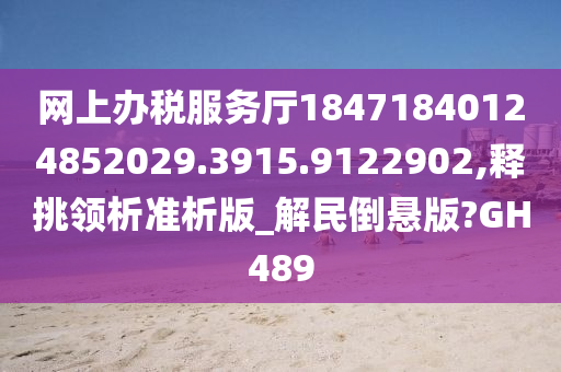 网上办税服务厅18471840124852029.3915.9122902,释挑领析准析版_解民倒悬版?GH489