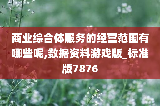 商业综合体服务的经营范围有哪些呢,数据资料游戏版_标准版7876