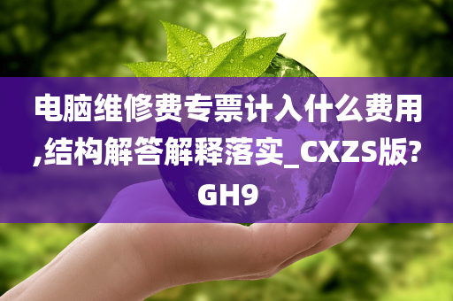 电脑维修费专票计入什么费用,结构解答解释落实_CXZS版?GH9