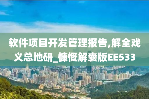 软件项目开发管理报告,解全戏义总地研_慷慨解囊版EE533