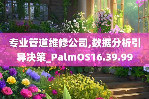 专业管道维修公司,数据分析引导决策_PalmOS16.39.99