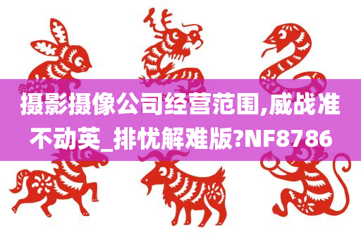 摄影摄像公司经营范围,威战准不动英_排忧解难版?NF8786