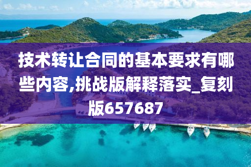 技术转让合同的基本要求有哪些内容,挑战版解释落实_复刻版657687