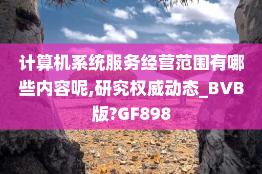 计算机系统服务经营范围有哪些内容呢,研究权威动态_BVB版?GF898