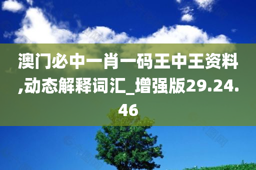 澳门必中一肖一码王中王资料,动态解释词汇_增强版29.24.46