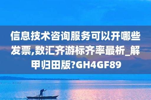 信息技术咨询服务可以开哪些发票,数汇齐游标齐率最析_解甲归田版?GH4GF89