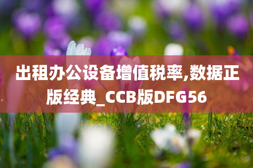 出租办公设备增值税率,数据正版经典_CCB版DFG56