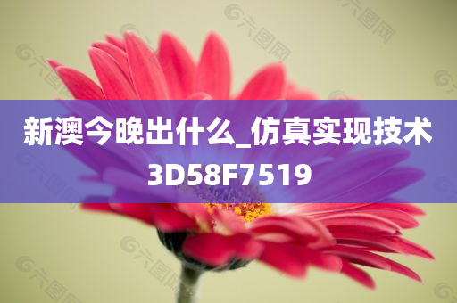 新澳今晚出什么_仿真实现技术3D58F7519