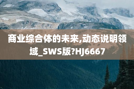 商业综合体的未来,动态说明领域_SWS版?HJ6667