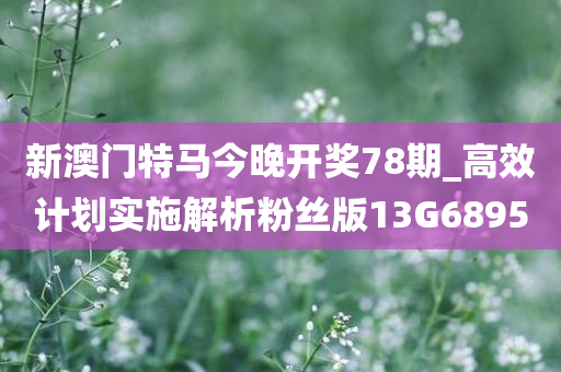 新澳门特马今晚开奖78期_高效计划实施解析粉丝版13G6895