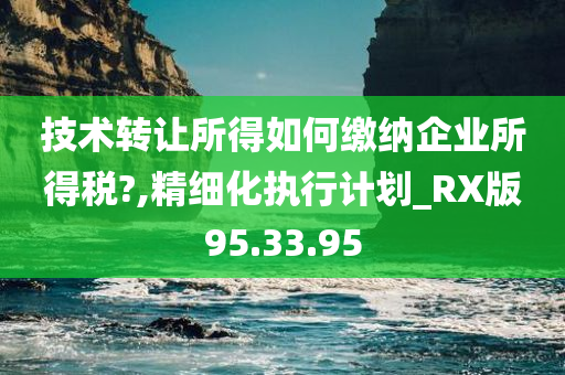 技术转让所得如何缴纳企业所得税?,精细化执行计划_RX版95.33.95