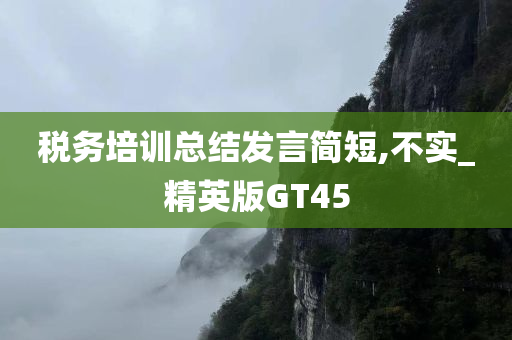 税务培训总结发言简短,不实_精英版GT45