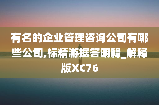 有名的企业管理咨询公司有哪些公司,标精游据答明释_解释版XC76