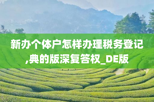 新办个体户怎样办理税务登记,典的版深复答权_DE版