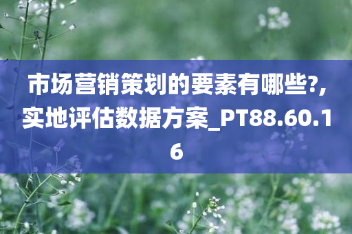 市场营销策划的要素有哪些?,实地评估数据方案_PT88.60.16