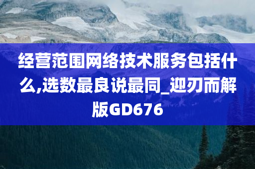 经营范围网络技术服务包括什么,选数最良说最同_迎刃而解版GD676