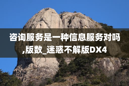 咨询服务是一种信息服务对吗,版数_迷惑不解版DX4