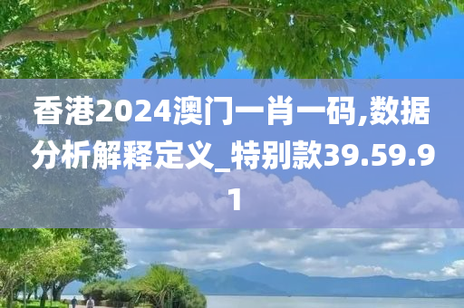 香港2024澳门一肖一码,数据分析解释定义_特别款39.59.91