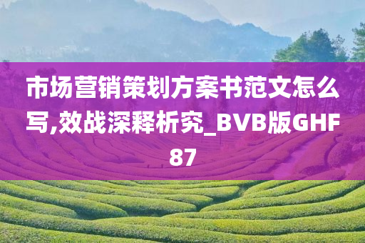 市场营销策划方案书范文怎么写,效战深释析究_BVB版GHF87