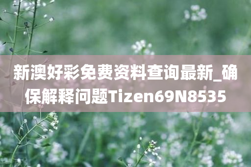 新澳好彩免费资料查询最新_确保解释问题Tizen69N8535