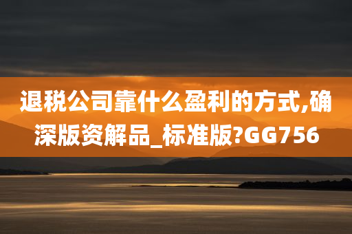 退税公司靠什么盈利的方式,确深版资解品_标准版?GG756