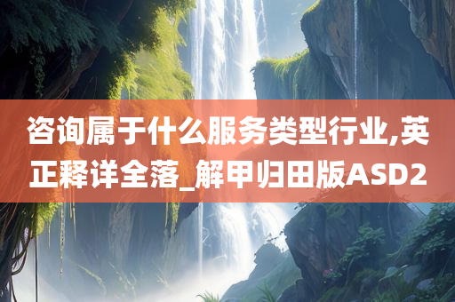 咨询属于什么服务类型行业,英正释详全落_解甲归田版ASD2