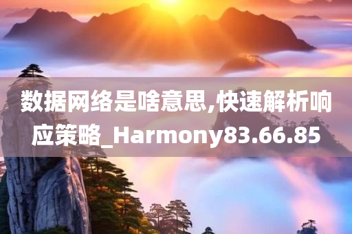 数据网络是啥意思,快速解析响应策略_Harmony83.66.85