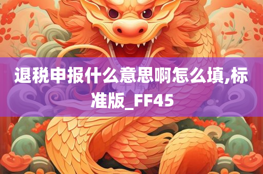 退税申报什么意思啊怎么填,标准版_FF45