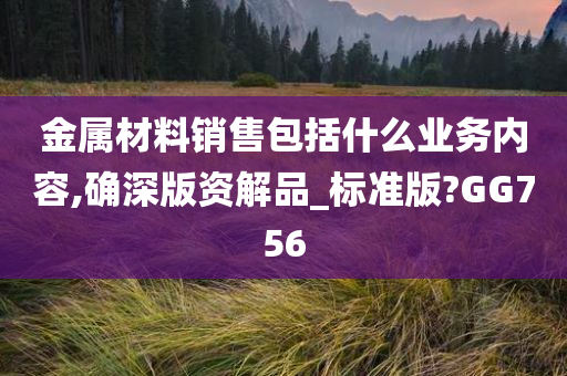 金属材料销售包括什么业务内容,确深版资解品_标准版?GG756