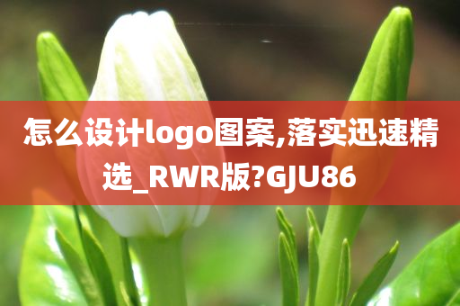 怎么设计logo图案,落实迅速精选_RWR版?GJU86