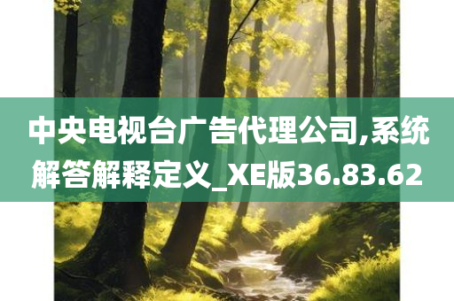 中央电视台广告代理公司,系统解答解释定义_XE版36.83.62