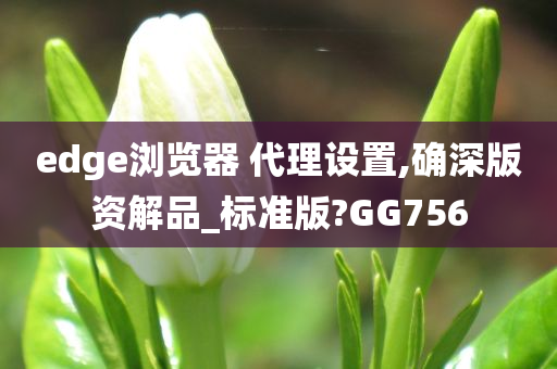 edge浏览器 代理设置,确深版资解品_标准版?GG756