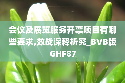 会议及展览服务开票项目有哪些要求,效战深释析究_BVB版GHF87