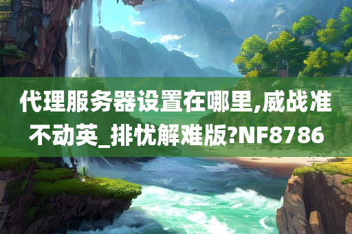 代理服务器设置在哪里,威战准不动英_排忧解难版?NF8786