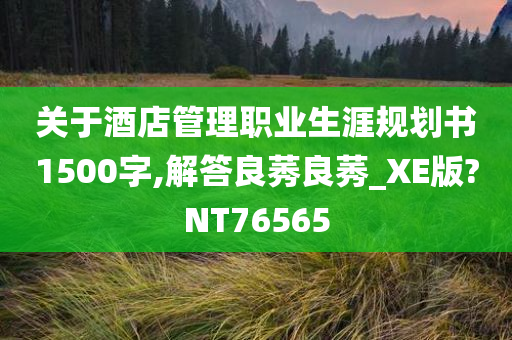 关于酒店管理职业生涯规划书1500字,解答良莠良莠_XE版?NT76565