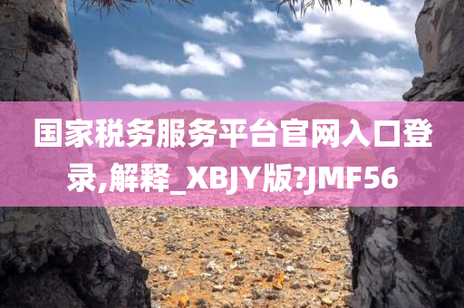 国家税务服务平台官网入口登录,解释_XBJY版?JMF56