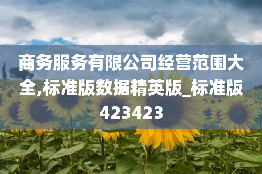 商务服务有限公司经营范围大全,标准版数据精英版_标准版423423