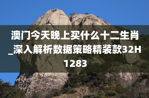 澳门今天晚上买什么十二生肖_深入解析数据策略精装款32H1283