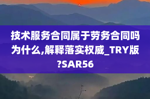 技术服务合同属于劳务合同吗为什么,解释落实权威_TRY版?SAR56