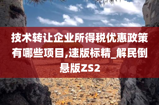 技术转让企业所得税优惠政策有哪些项目,速版标精_解民倒悬版ZS2